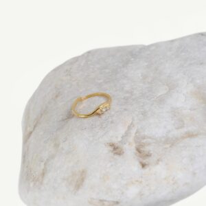 goldplated-silver-ring-small-zircons-am-byagapi
